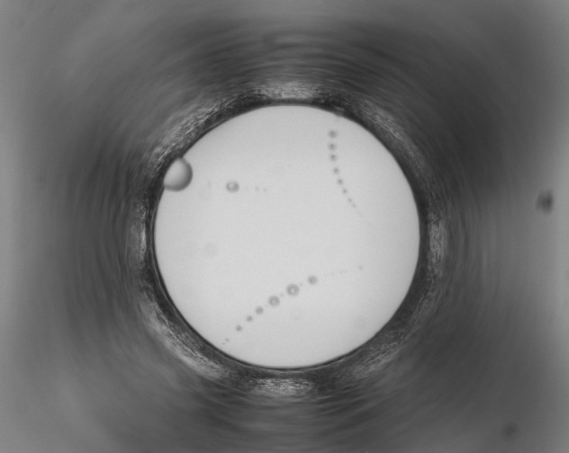 X0000115720541200912101431