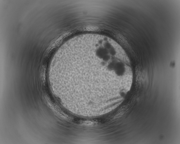 X0000115720542200912101431