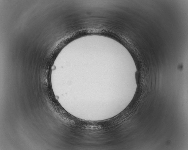 X0000115720543200912101431