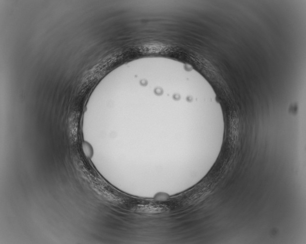 X0000115720545200912101431