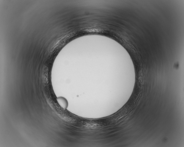X0000115720547200912101431