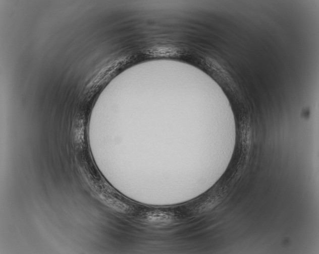 X0000115720549200912101431
