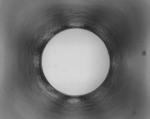 X0000115720551200912101431