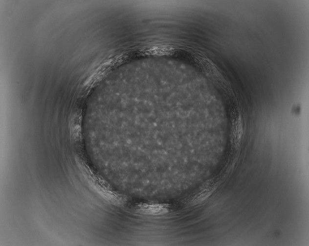 X0000115720553200912101431