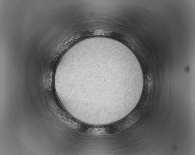 X0000115720554200912101431