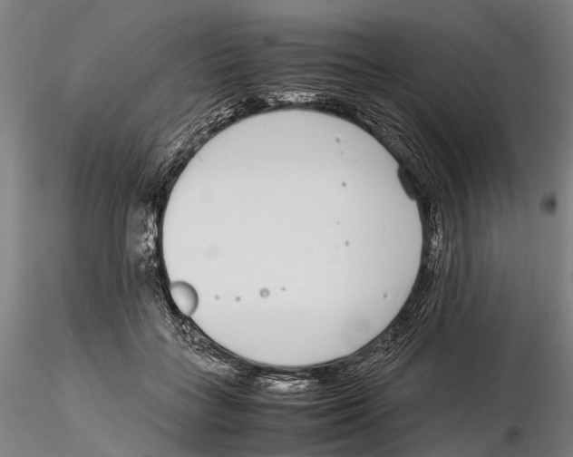 X0000115720555200912101431