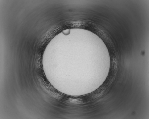 X0000115720557200912101431