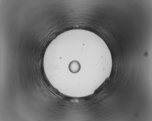 X0000115720558200912101431