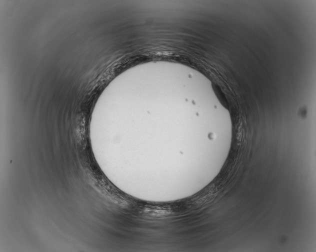 X0000115720559200912101431
