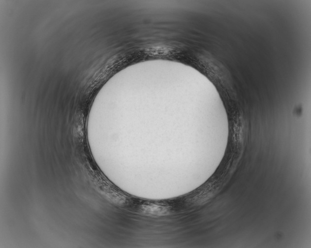 X0000115720561200912101431