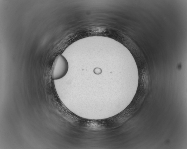 X0000115720565200912101431