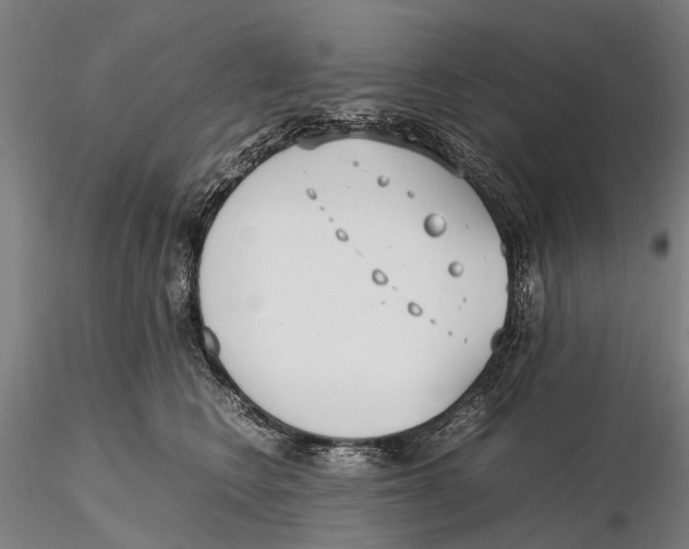 X0000115720566200912101431