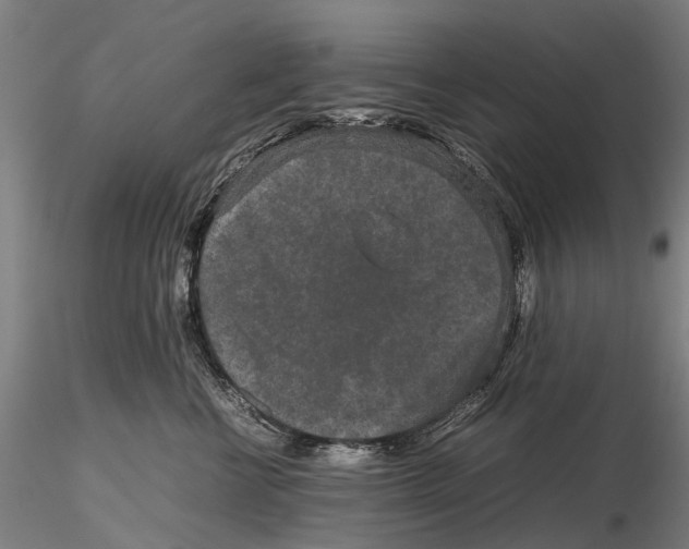 X0000115720570200912101431