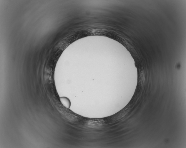 X0000115720571200912101431