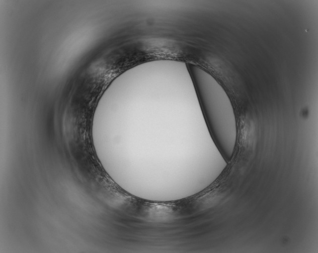 X0000115720573200912101431