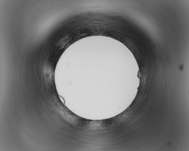 X0000115720574200912101431