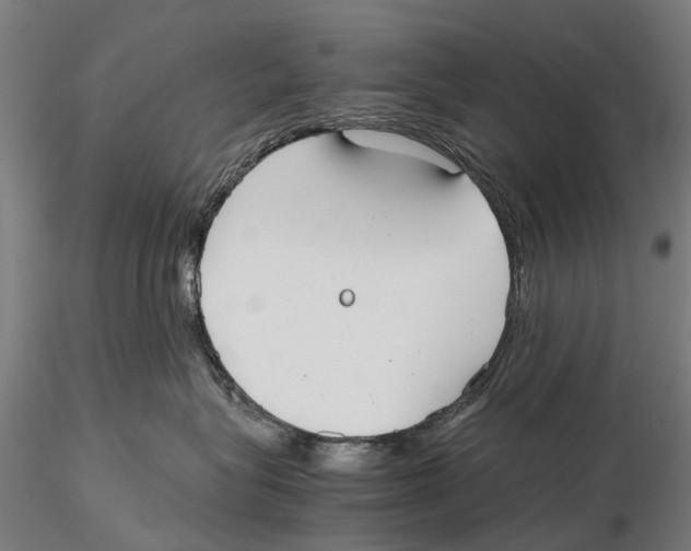 X0000115720575200912101431