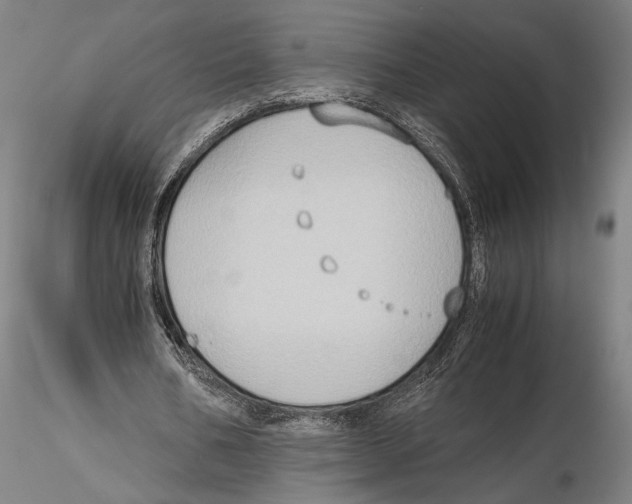 X0000115720578200912101430