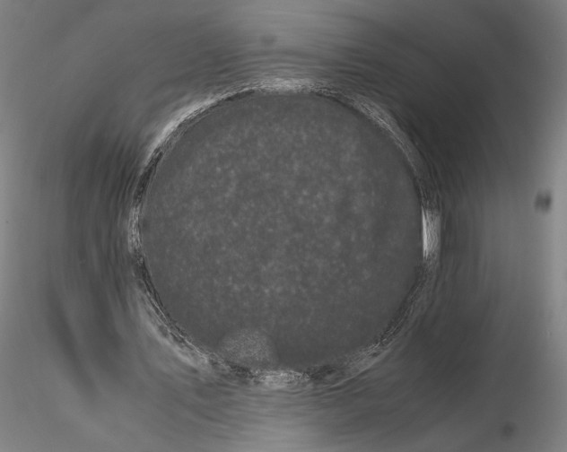 X0000115720579200912101430