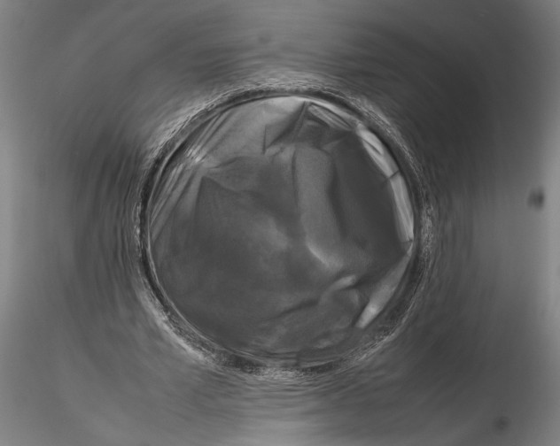 X0000115720581200912101430