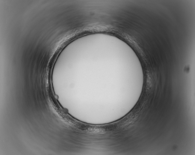 X0000115720582200912101430