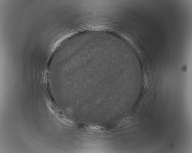 X0000115720583200912101430