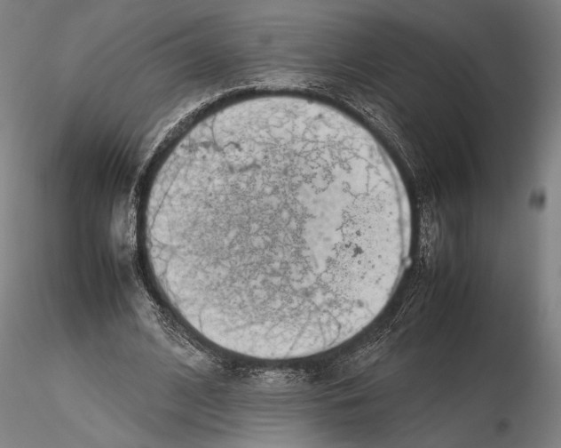 X0000115720584200912101430