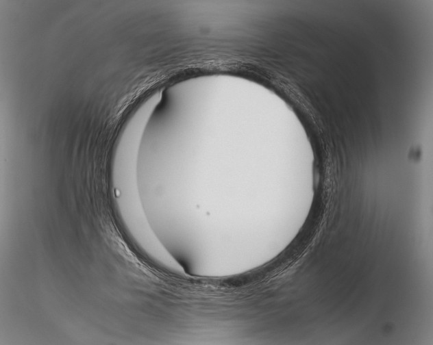 X0000115720585200912101430