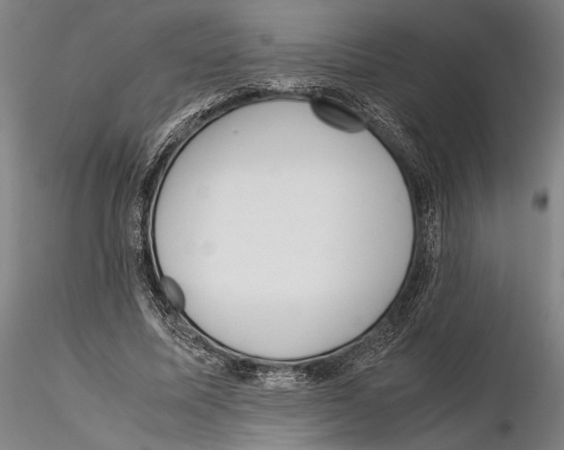 X0000115720587200912101430