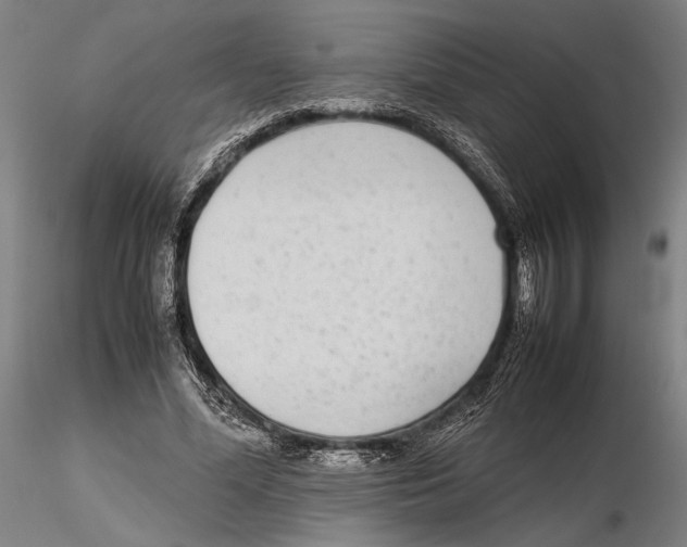 X0000115720588200912101430