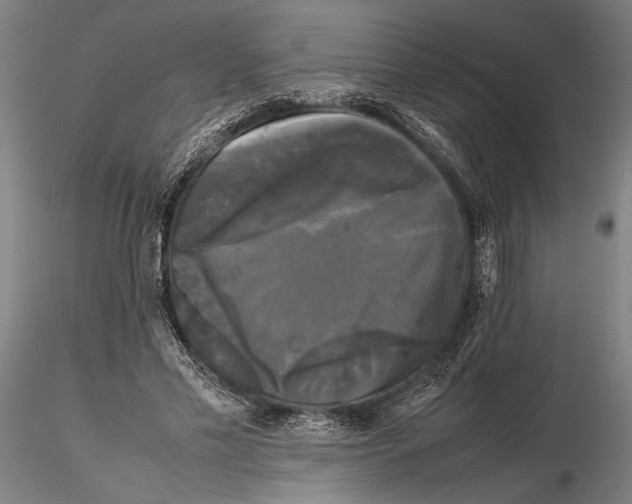 X0000115720589200912101430