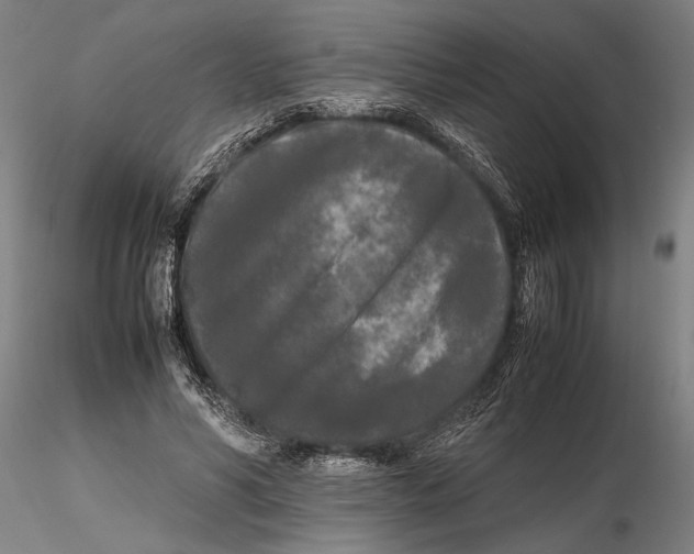 X0000115720590200912101430