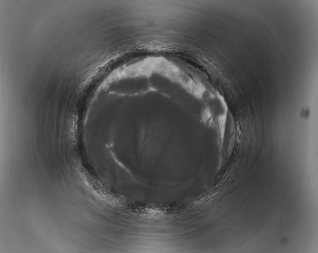 X0000115720592200912101430