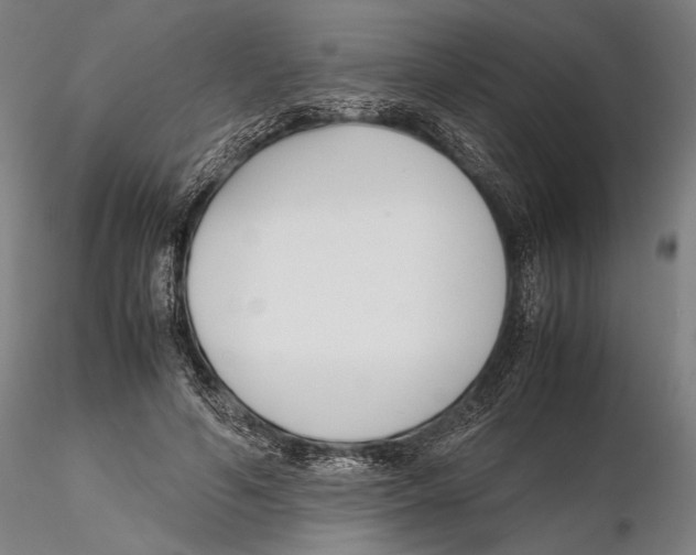 X0000115720594200912101430