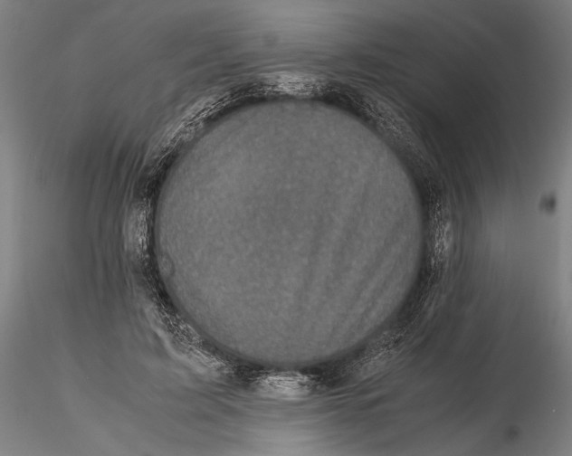 X0000115720595200912101430