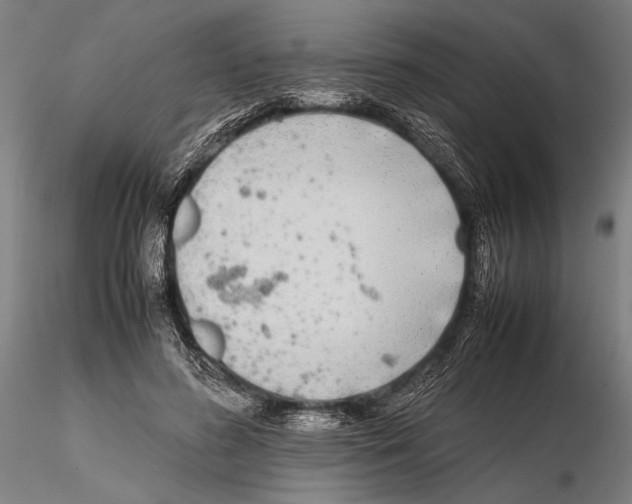 X0000115720596200912101430