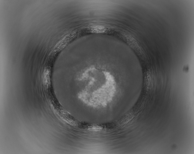 X0000115720598200912101430