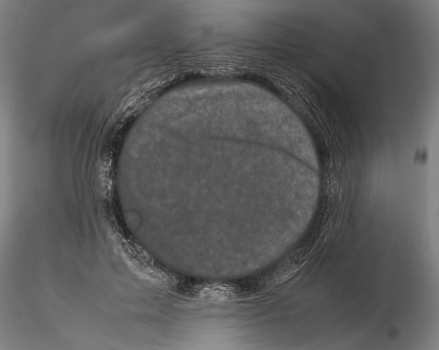 X0000115720599200912101430