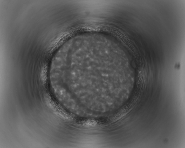 X0000115720600200912101430