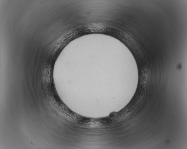 X0000115720604200912101430