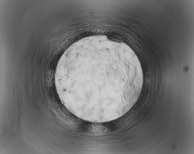 X0000115720605200912101430