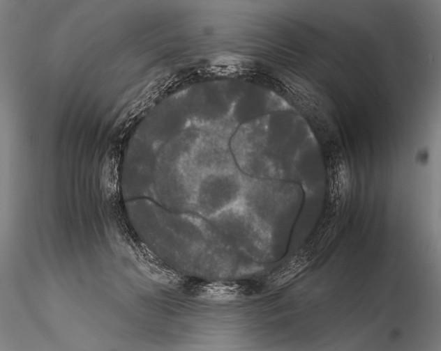 X0000115720606200912101430