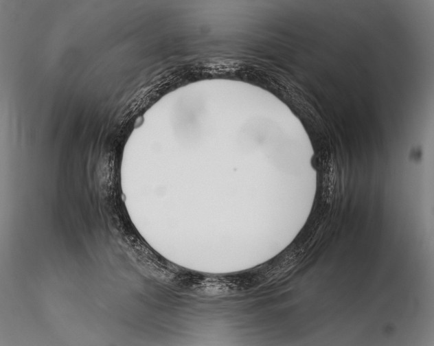 X0000115720608200912101430