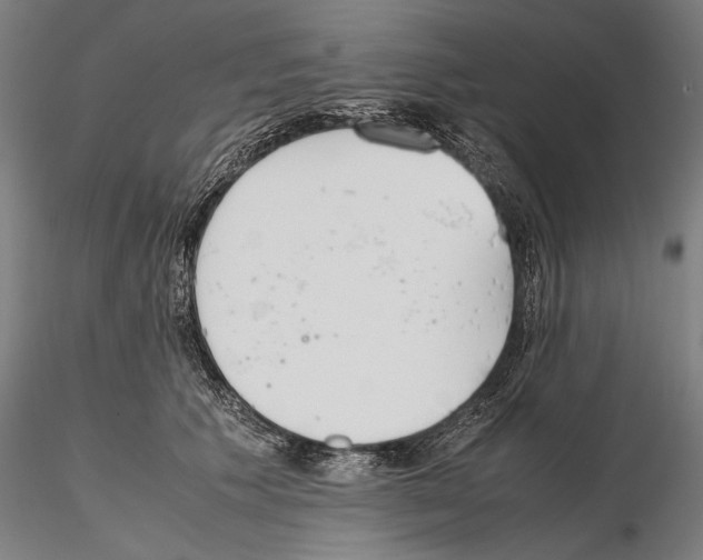 X0000115720609200912101430
