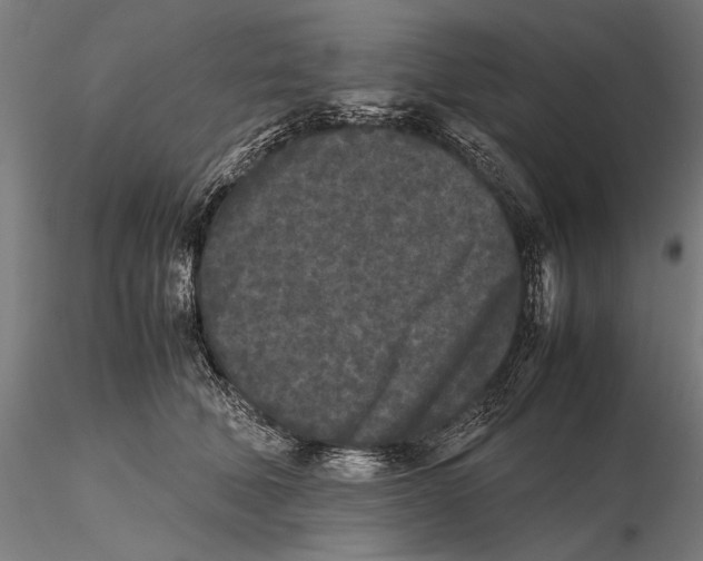 X0000115720610200912101430