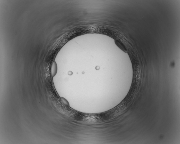 X0000115720611200912101430