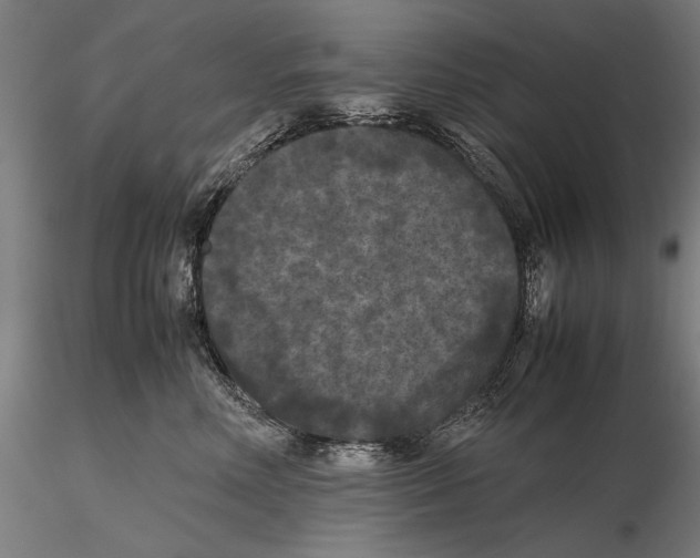 X0000115720618200912101430