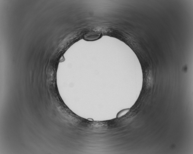 X0000115720619200912101430