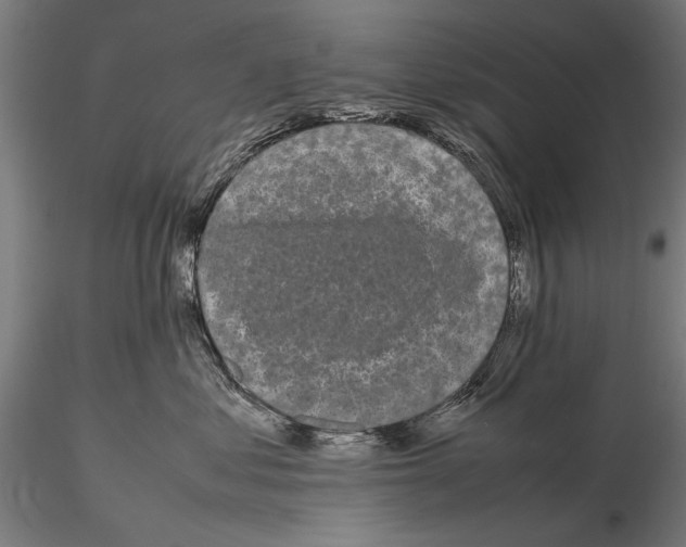 X0000115720621200912101430