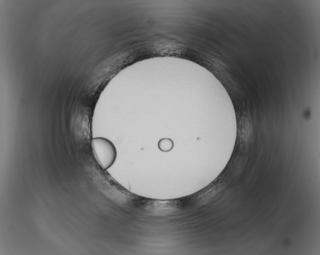 X0000115720622200912101430